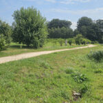 Parc d'activités Eco-Normandie à Saint-Romain-de-Colbosc, un écrin de verdure pour les entreprises (c) Le Havre Seine Développement