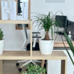 Intérieur espace de coworking Village Socrate (Seine-Maritime | Normandie)