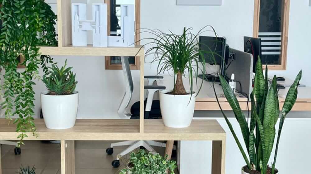 Intérieur espace de coworking Village Socrate (Seine-Maritime | Normandie)