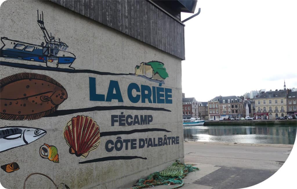 Criée du port de pêche de Fécamp (c) Le Havre Seine Développement