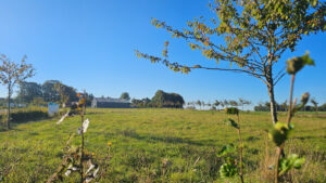 Parc d'activités de l'Ormerie à Criquetot l'Esneval (c) Le Havre Seine Développement