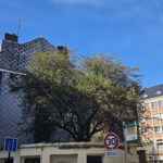 27 - 31 rue Percanville, logements à réhabiliter quartier Saint-François au Havre (c) Le Havre Seine Développement