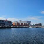 FONDS DE COMMERCE DOCKS LE HAVRE 852